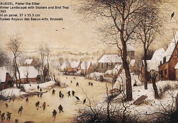13winter_name2 (1387 visits) Winter Landscape with Skaters and Bird Trap, 1565 13winter_name2