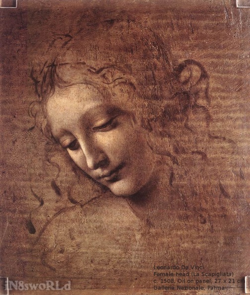Leonardo1.jpg