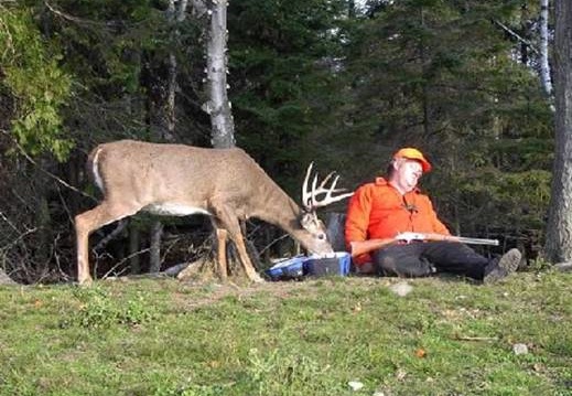 Hunting is boring (2272 visits) Hunting is boring