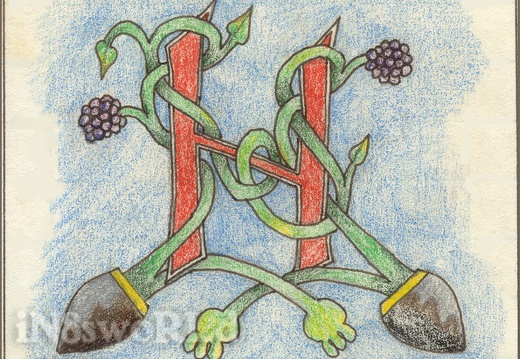 Celtic Ned (533 visits) Celtic Ned