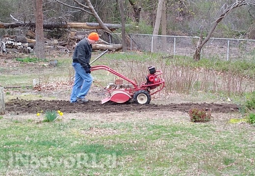 Rototilling to prepare for the raised beds