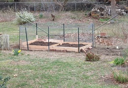 Small 4x8 raised beds with fencing (1358 visits) Small 4x8 raised beds with fencing