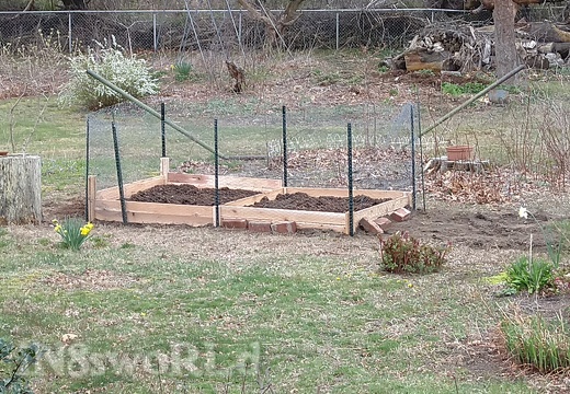 Small 4x8 raised beds with fencing (2187 visits) Small 4x8 raised beds with fencing