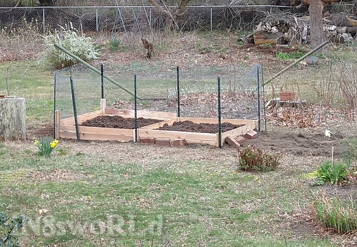 Small 4x8 raised beds with fencing