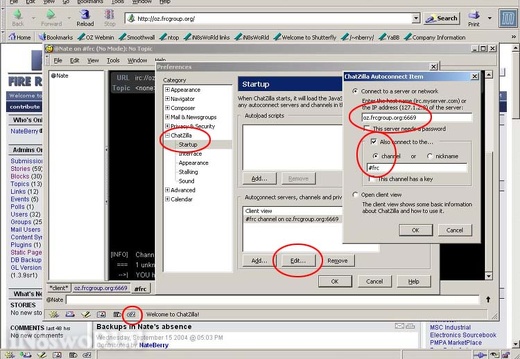 IRC setup in 2004 in Netscape Communicator