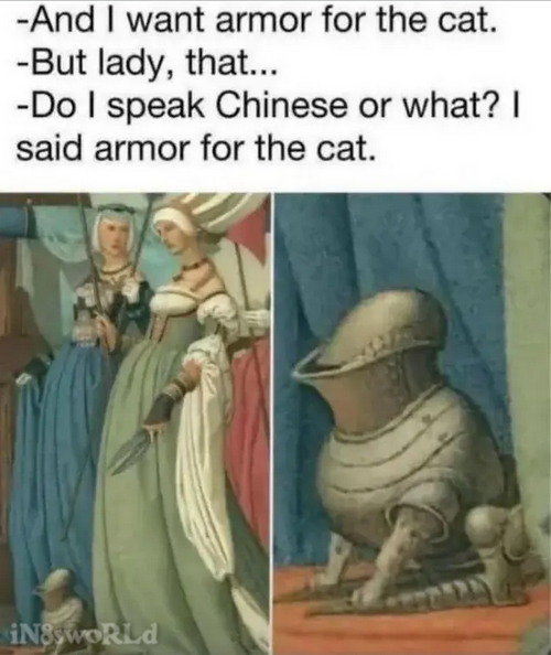 cat_armour.png