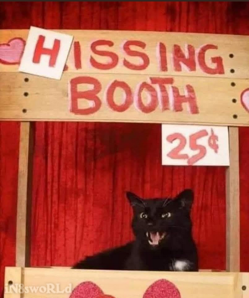 hissing-booth.png