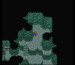 Final Fantasy V (2332 visits) Final Fantasy V