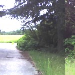 rca-100613