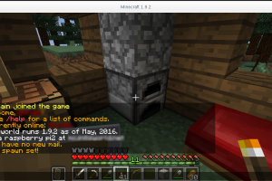 The First Server i joined in Minecraft