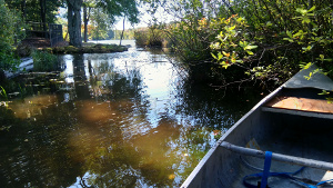 Near Shore