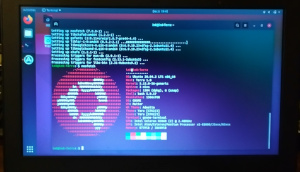 Ubuntu on Chromebook