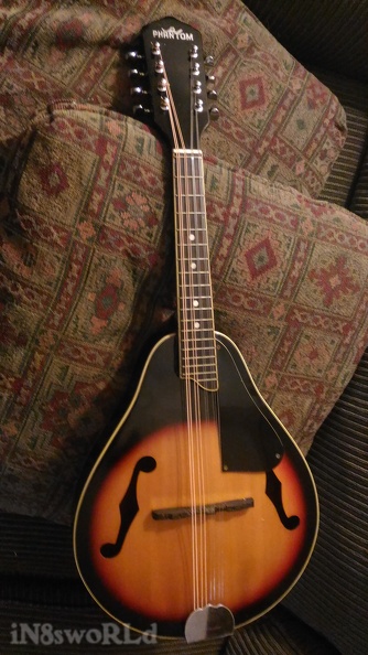 Mandolin_working