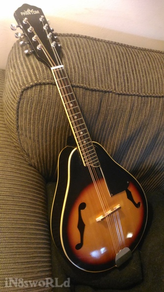 Mandolin_Bridge