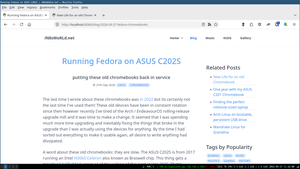 Running the website locally